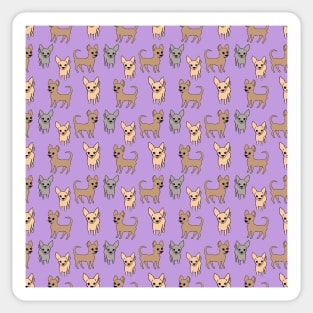 Chihuahua chihuahuas - lilac Sticker